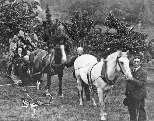 July 29, 1906, Arthur Dennis and Carrie Herrick--the first wedding in Sylvan. Their wedding Chariot was a decorated wooden sled