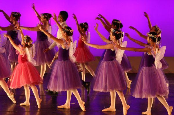 Willow Park Dance Academy