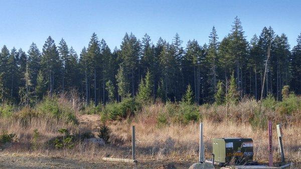 Acreage parcels Mason Lake area, Shelton WA