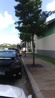 Landscaping hawaii van fleeing the scene.