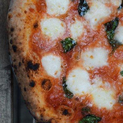 Fresh Wood Fired Neapolitan-inspired Margherita Pizza from Urbino Pizza