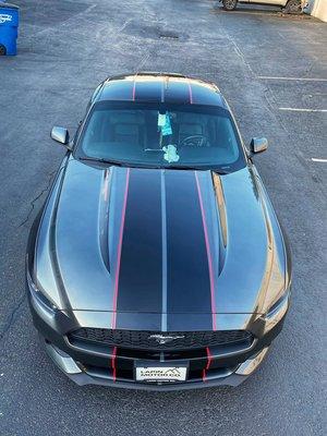 Stripes on this Mustang are awesome