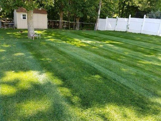 Freshly mowed lawn.