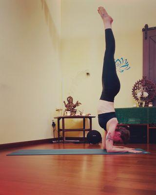 Pincha Mayurasana