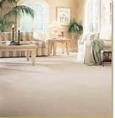 California Carpet Cleaning Corporation In Los Angeles