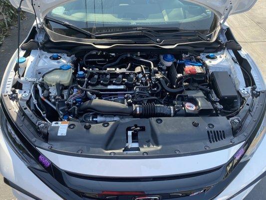 Inside the engine bay or our mascot "Casper" the friendly Honda Civic Si.