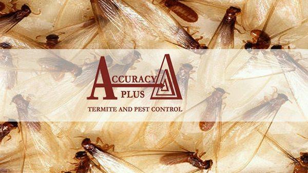 Accuracy Plus Termite and Pest Control