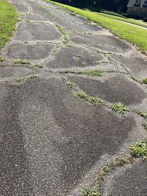 Chambers and Sons Paving