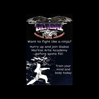 Global Martial Arts Academy is ready to train your mind and body !