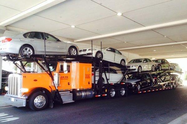 free quotes on any car shipping.