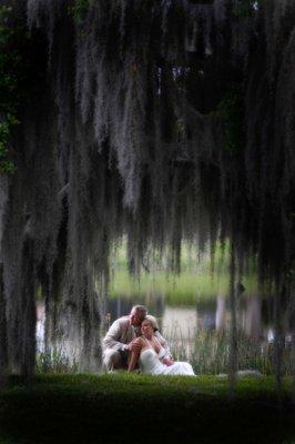 Wedding Tree