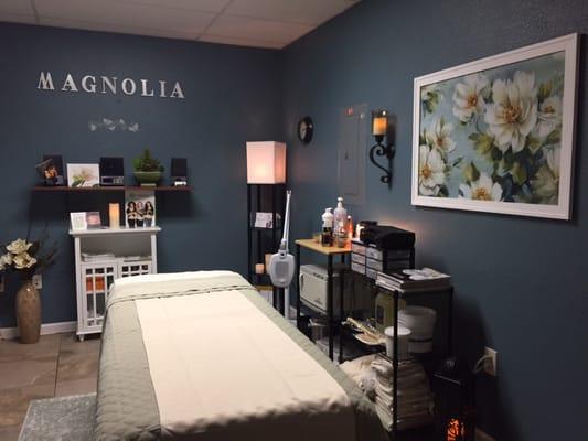 Amy's Magnolia Skin Care Aesthetics Room