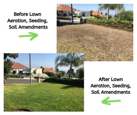 Healthy lawn after aeration, seeding and soil amendments