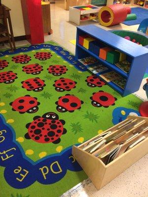 Our happy ladybugs love to crawl around here!