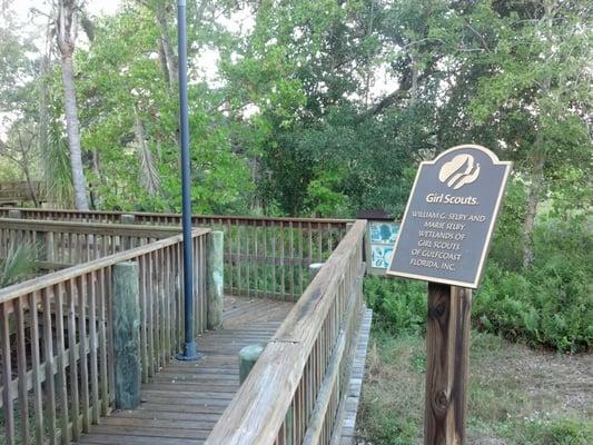 Elevated boardwalk across wetlands