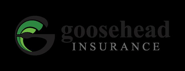 Ryan Fasano - Goosehead Insurance