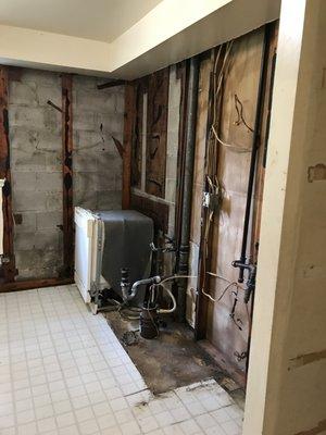 Mold remediation is just one of our specialties. We work with apartment complexes, businesses, and homeowners.