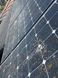 Closeup of Dirty Solar Panels