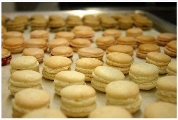 macaroons