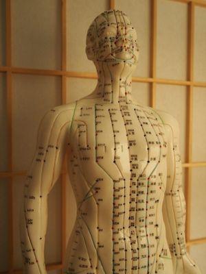 Acupuncture model with meridians mapped out.