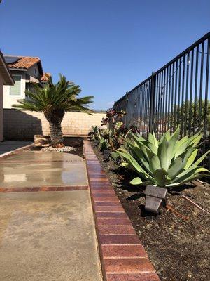 Desert landscaping in Rancho Santa Margarita