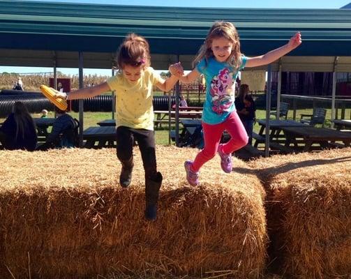 Fall Pumpkin Patch Field Trip!