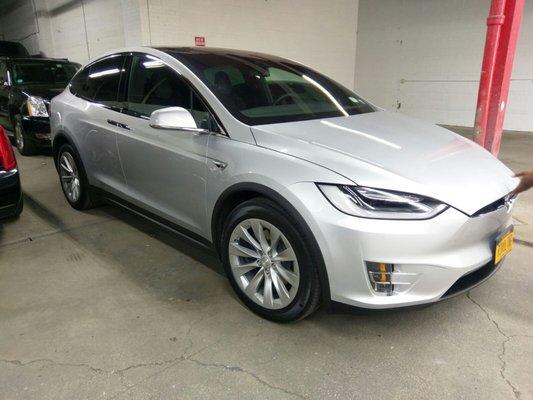 Tinted Tesla