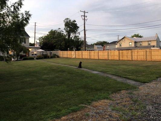 6' Privacy Fence with natural treated wood