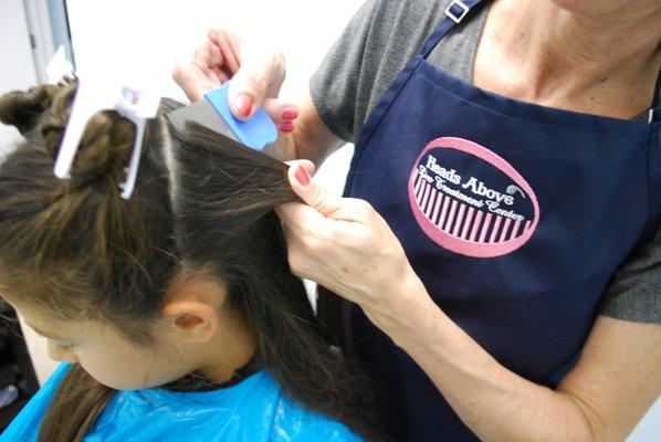 photo of Heads Above Lice Treatment L.