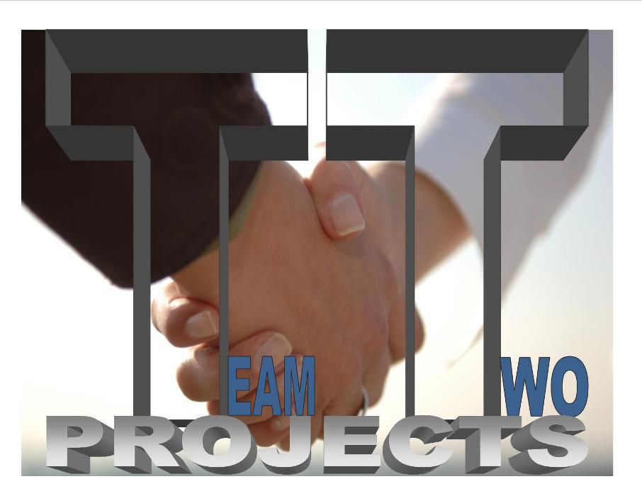 Team Two Projects LLC